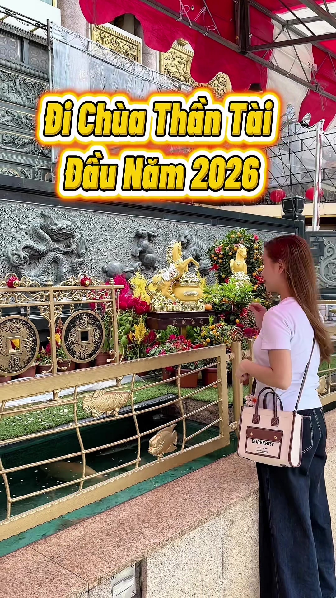 @🇻🇳Trinh B&agrave; Địa ở Sing 🇸🇬