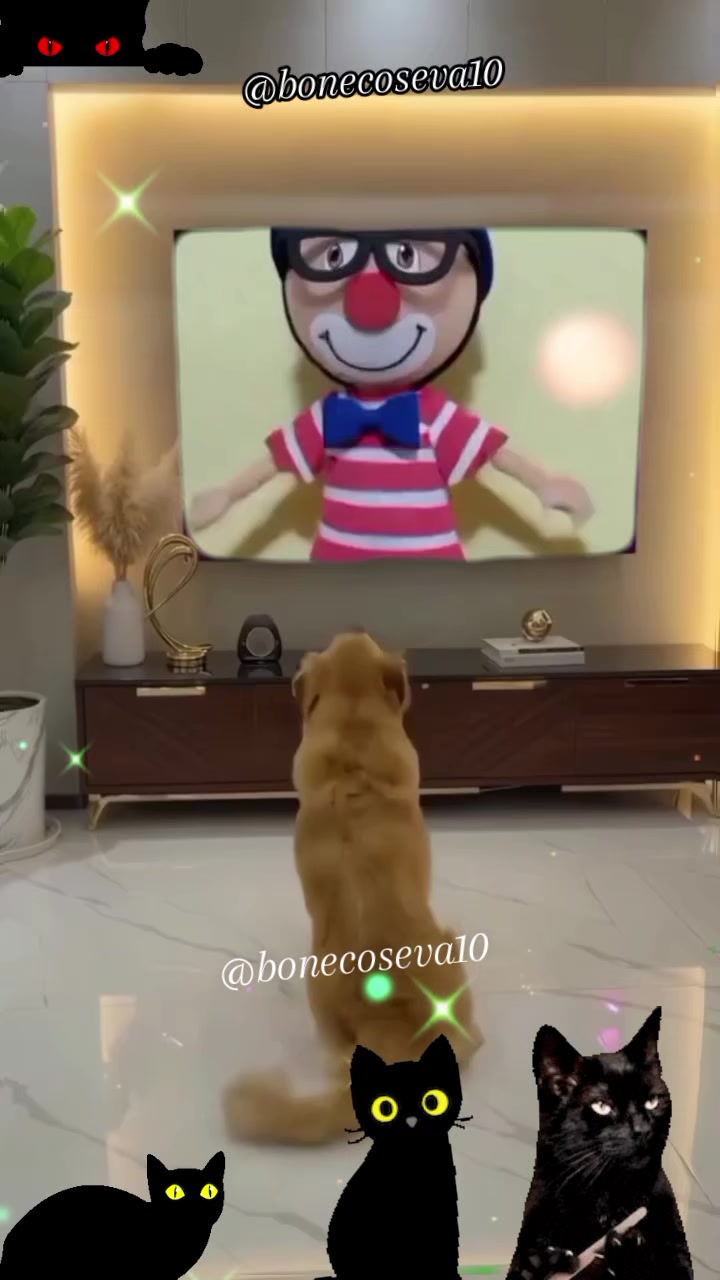 @Tiozinho dos bonecos