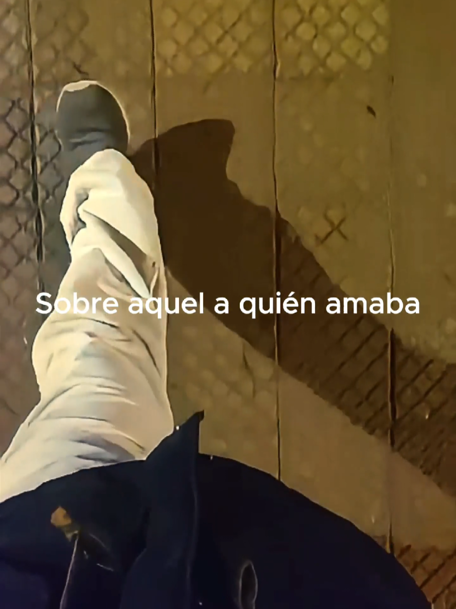 @Tamauta