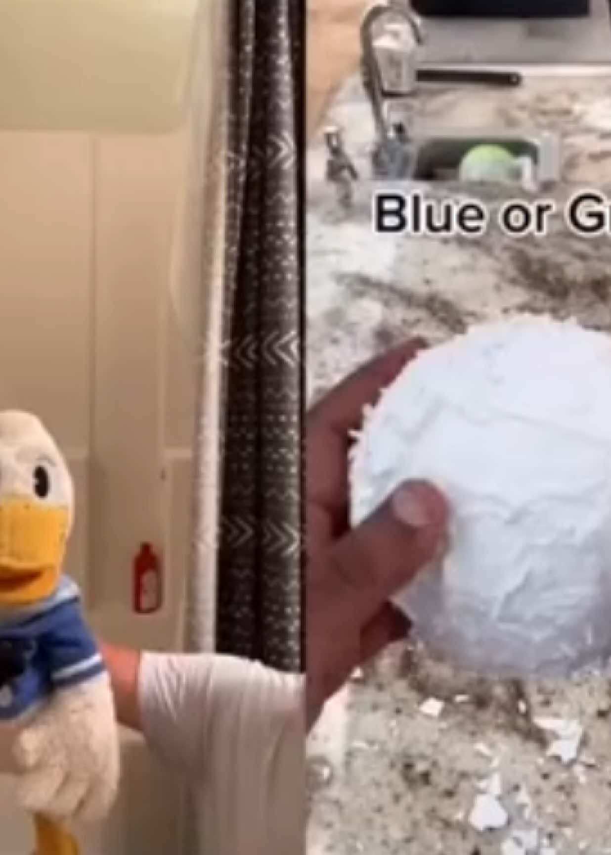 @donaldducc