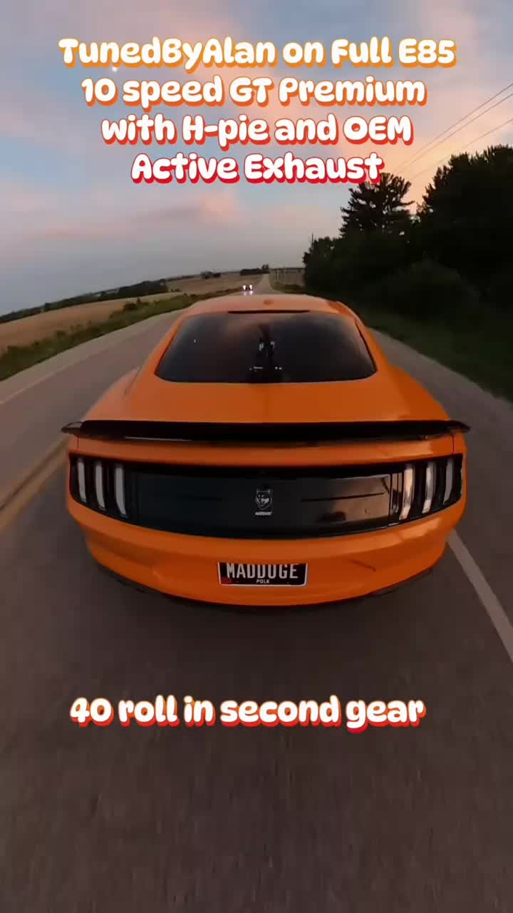 @LaVidaDeBori787PR🇵🇷🐺