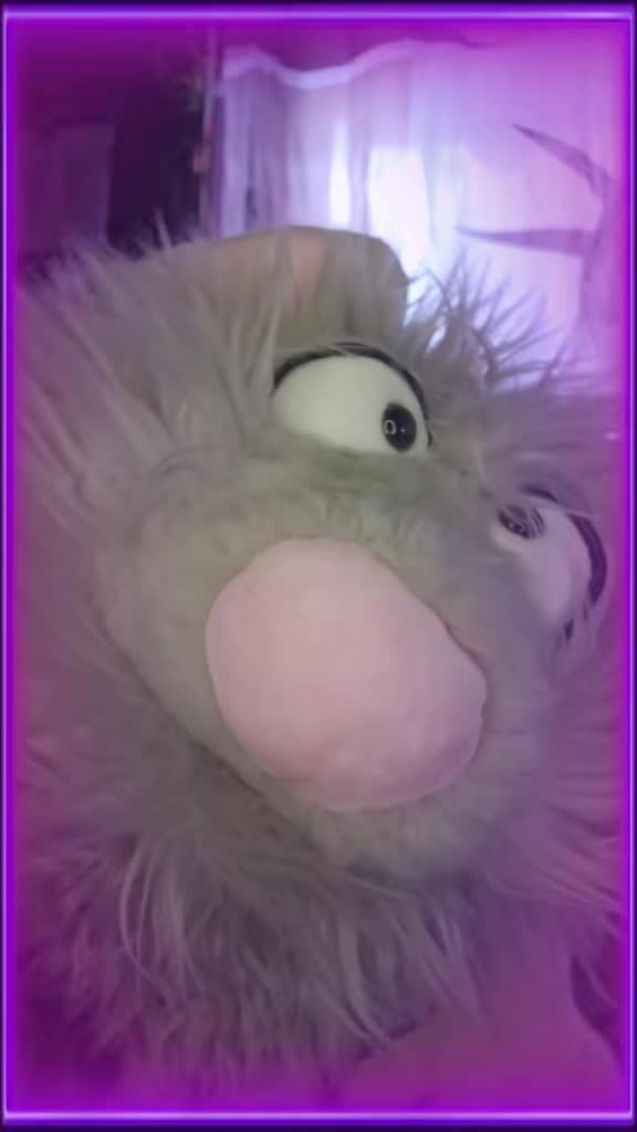 @💜🩵🩷Wunschträumchen🩷🩵💜