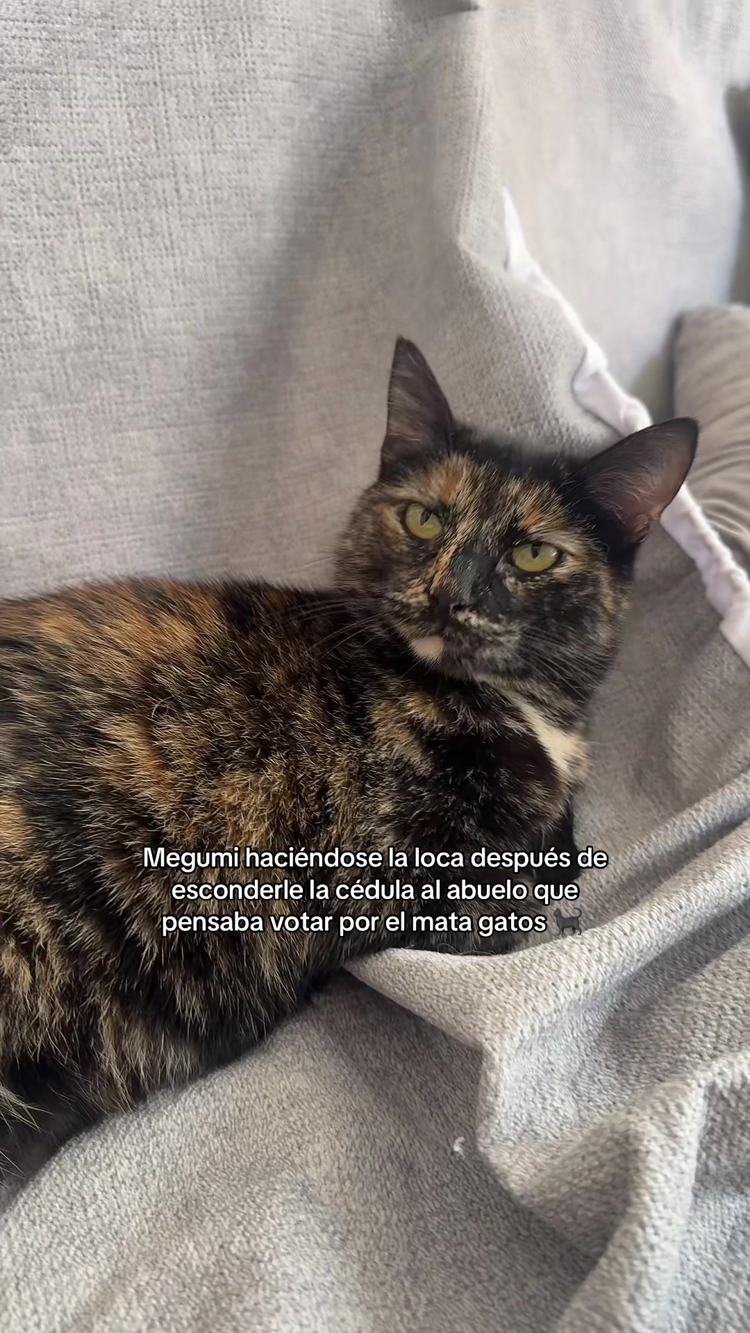 @Val 🦢🤍