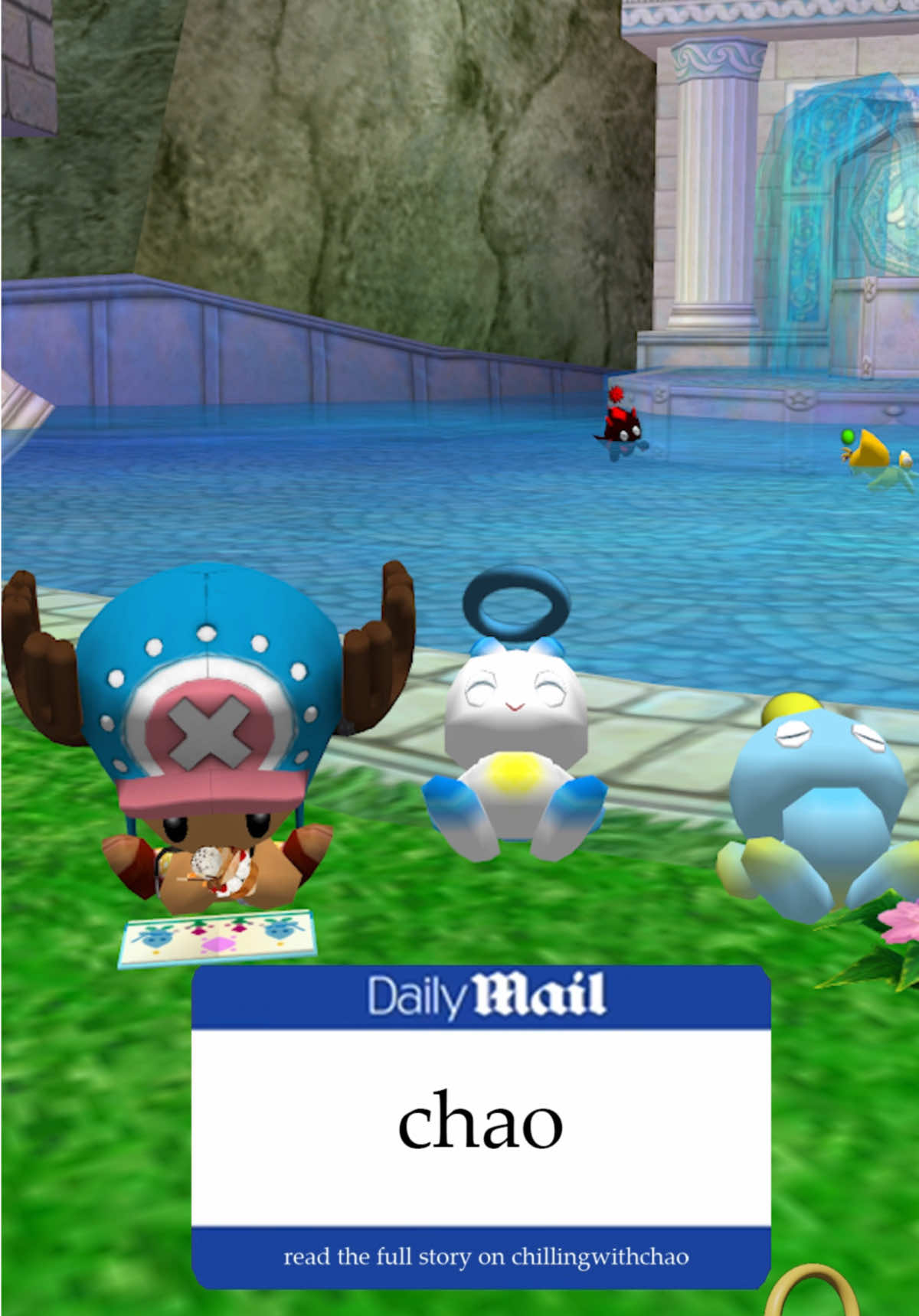 @Chilling with Chao