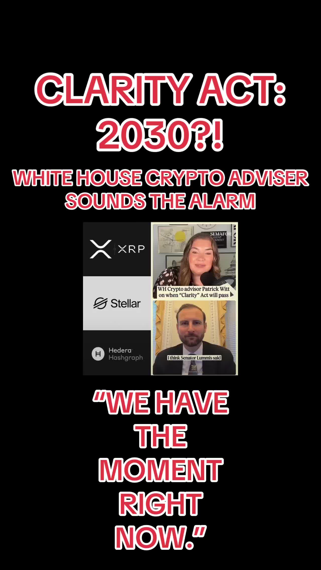 @Crypto TRAPPIN