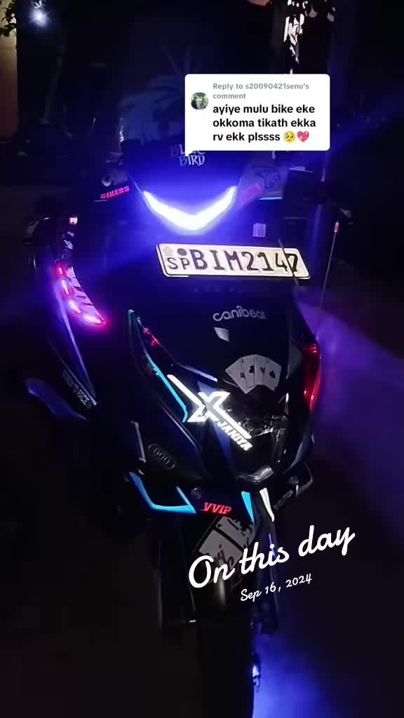 @*•.¸♡𝑩𝑳𝑼𝑬💙𝑩𝑰𝑹𝑫♡¸.•*