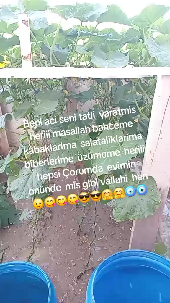@Cigdem  Bodur  19