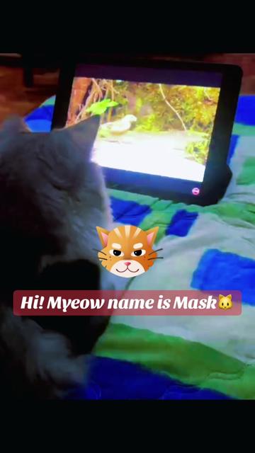 @🐱w!ne 🪺