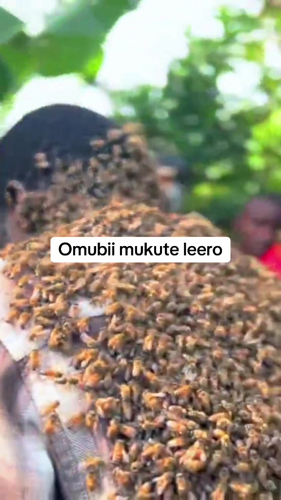 @Omuzana Naisonga
