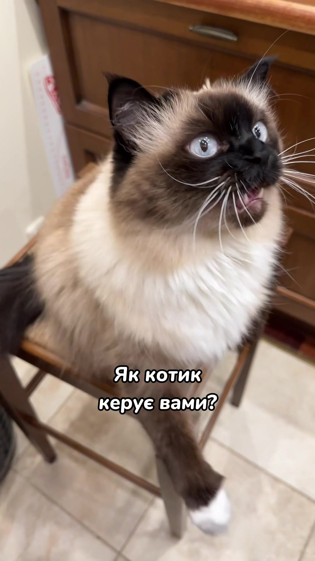 @Місс КІСЯ