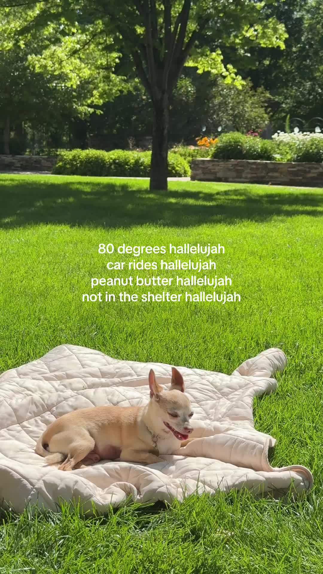 @Spongebobqueen99