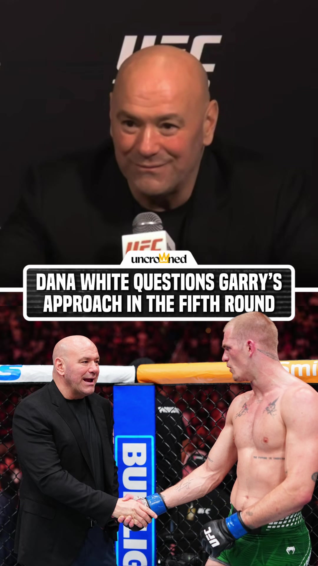 @arielhelwani