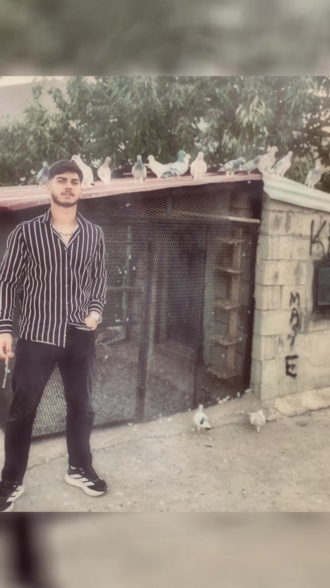 @"Maşallah Avcı 🦅"