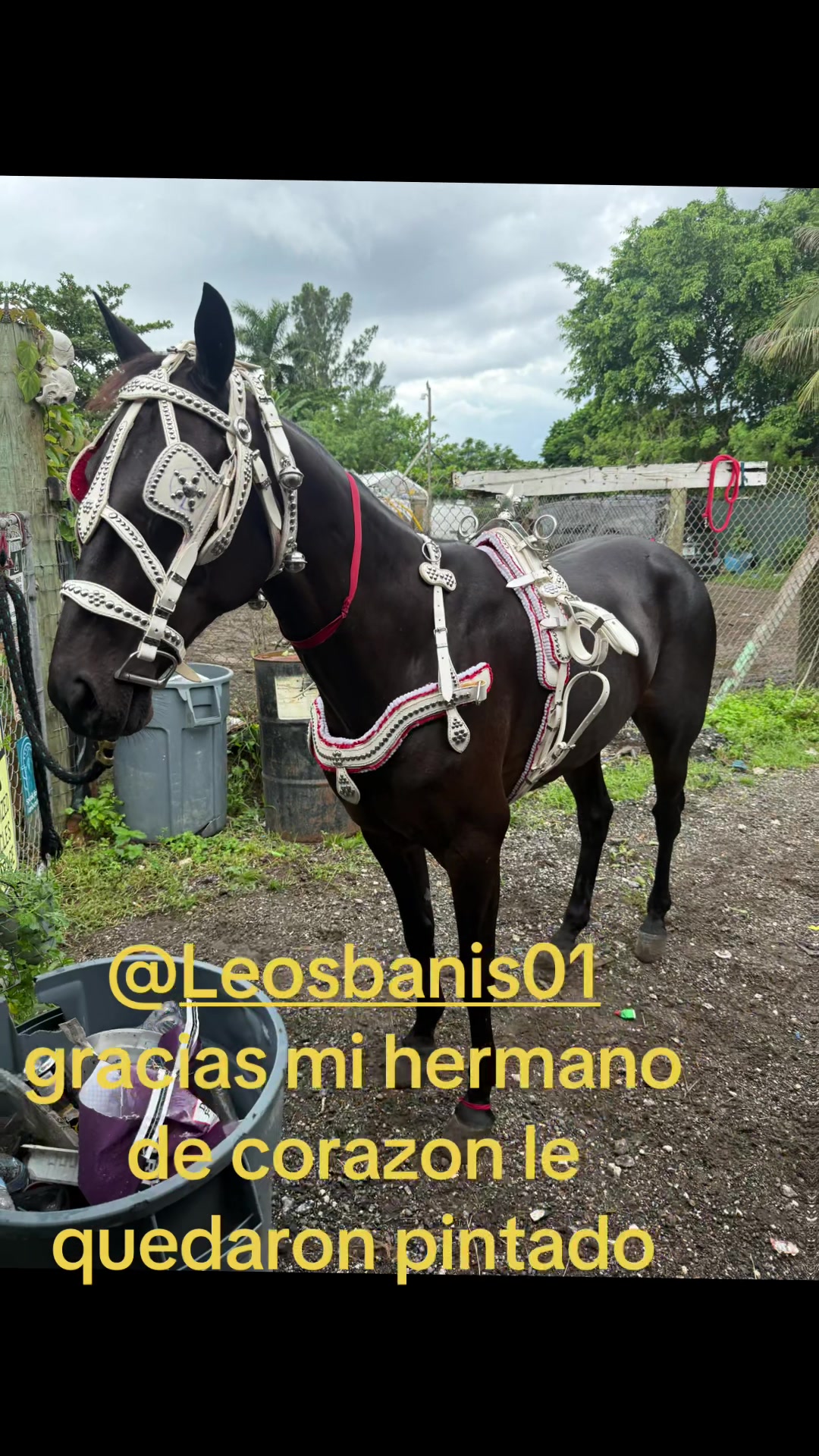@🔥🔥❤️EL FEO ❤️🔥🔥