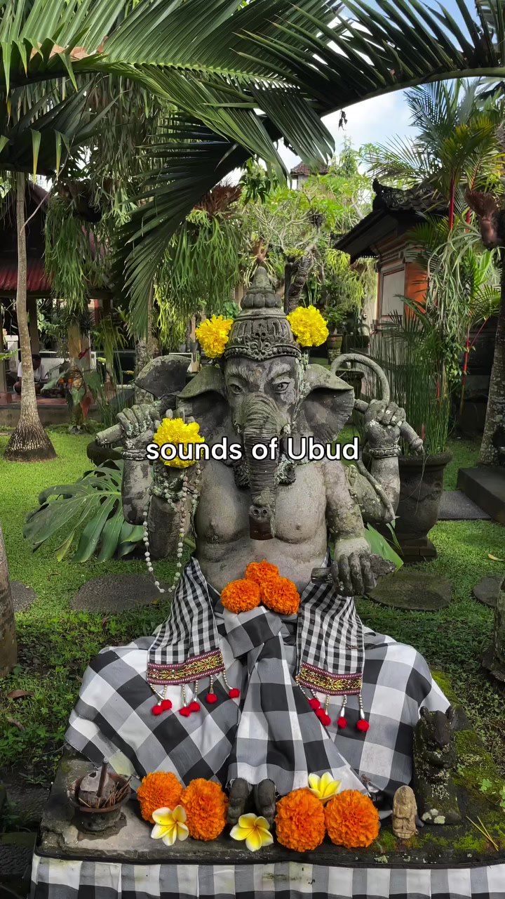@Siluet Bali