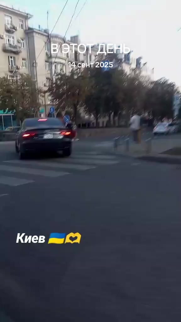@Vladimir🇺🇦