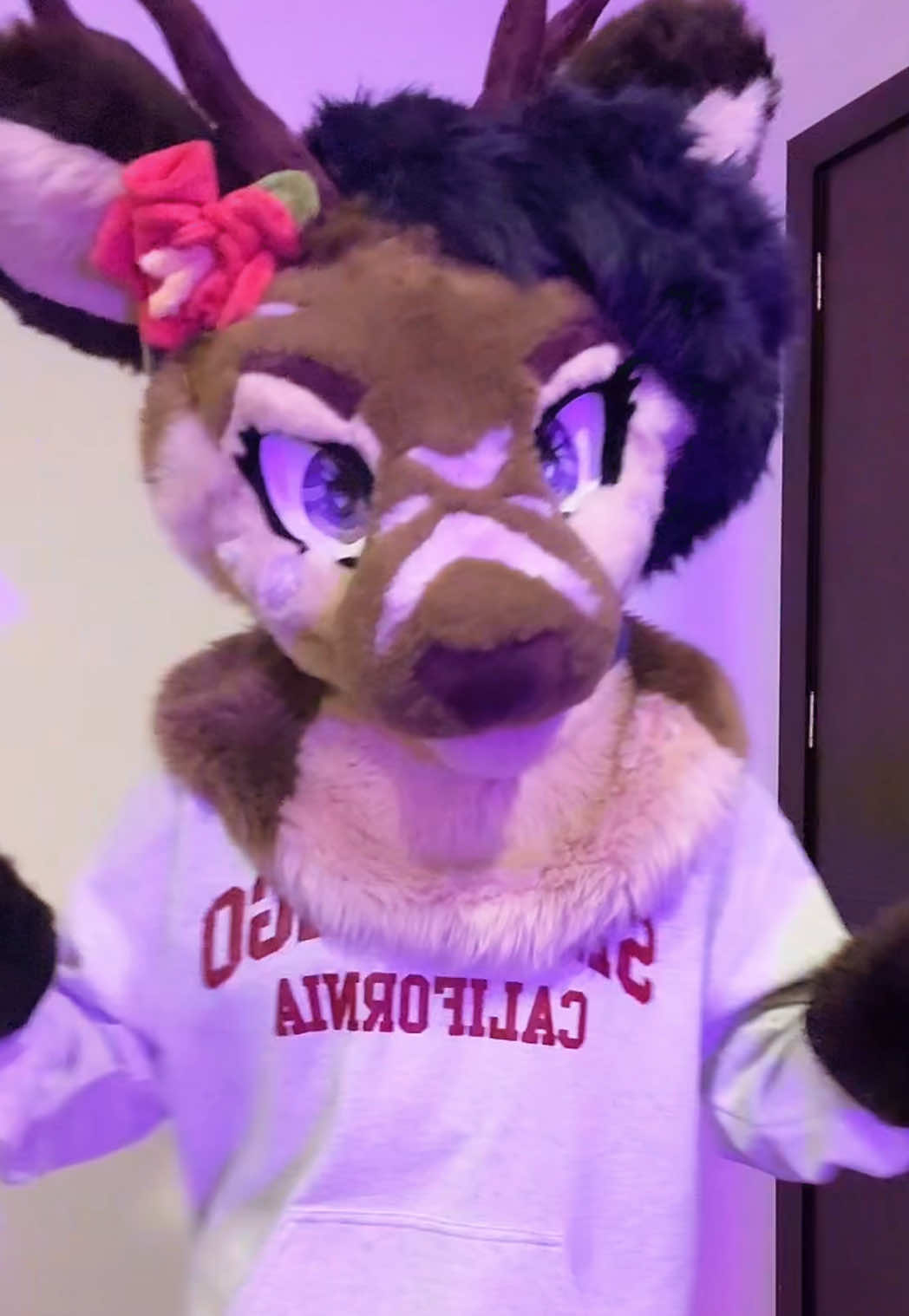 @Riley :3