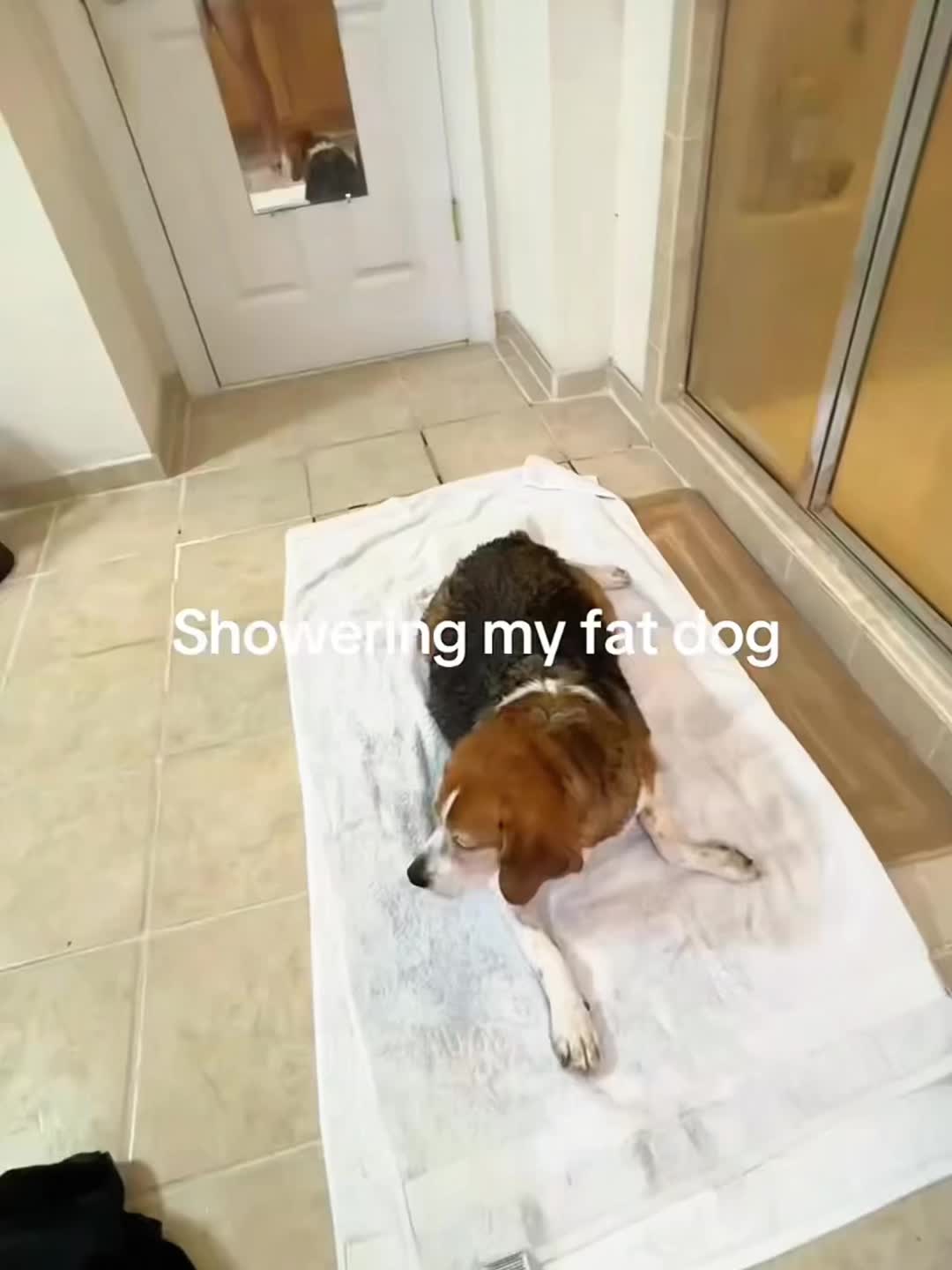 @duarfucyr7k