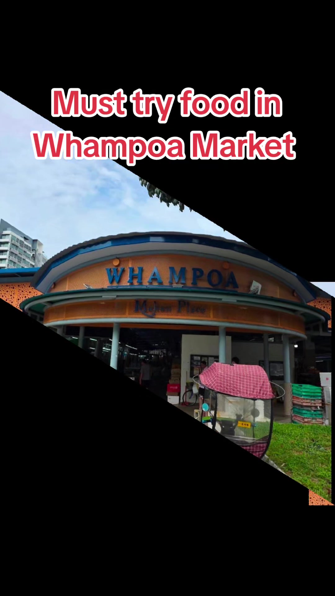 @Wilson Tee (期恺)