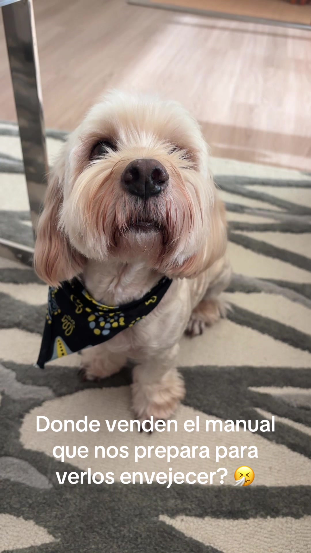 @Beyli