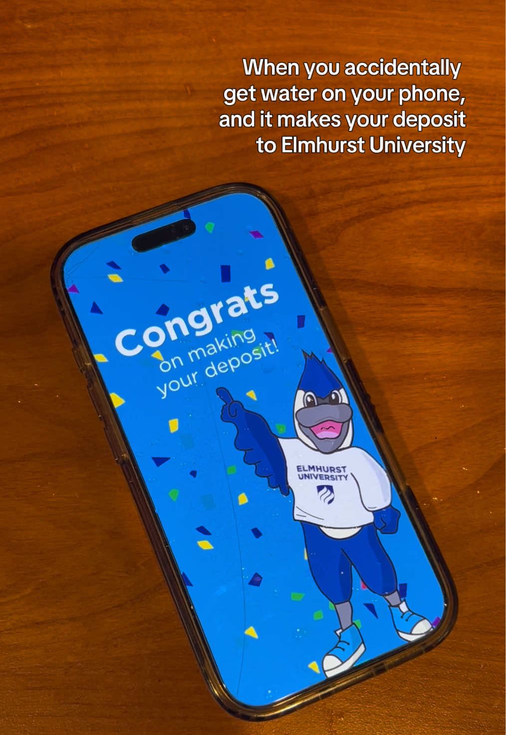 @Elmhurst University Admission