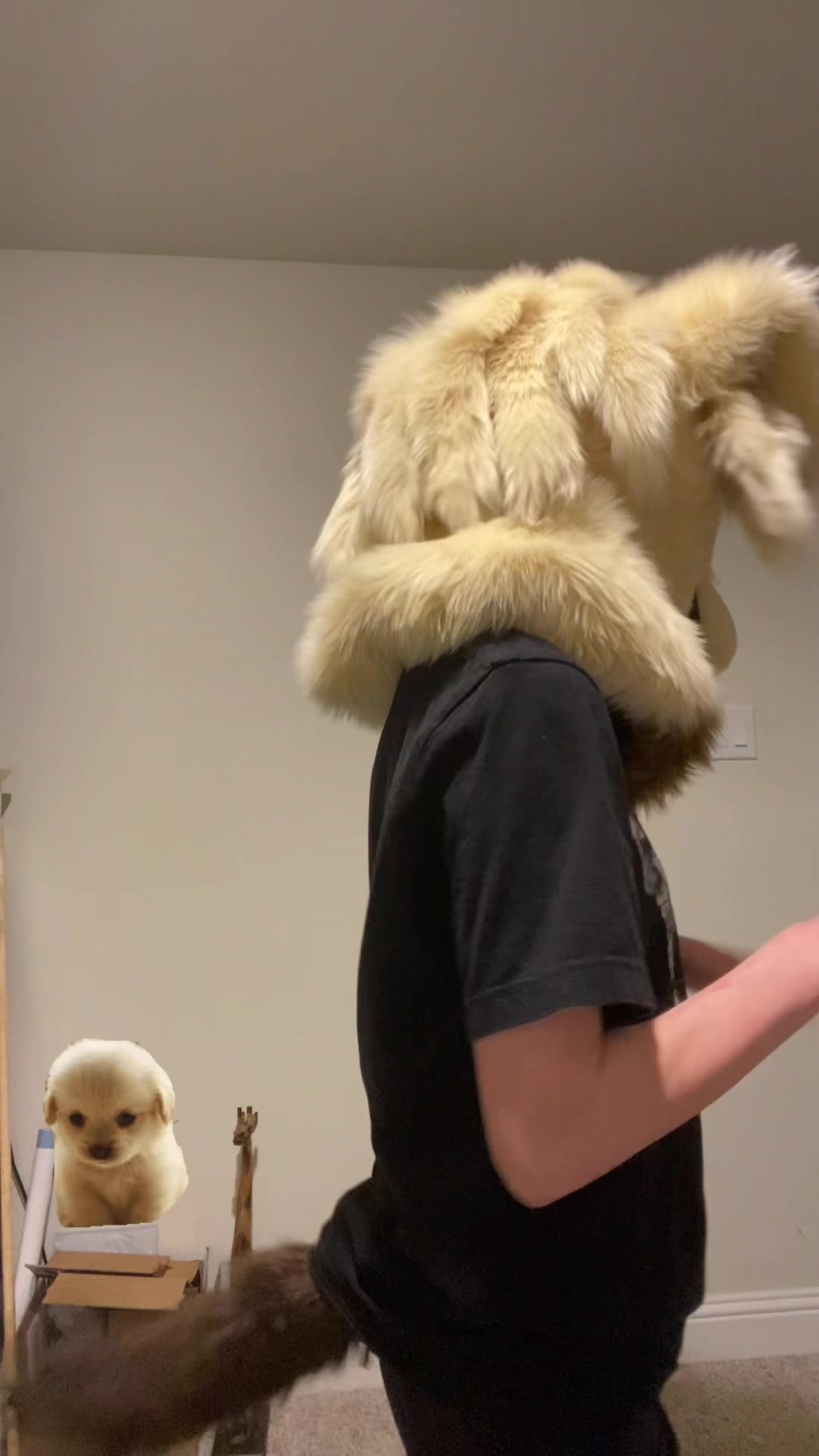 @dog