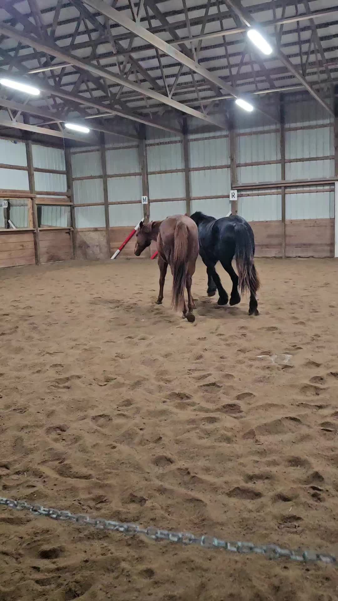 @Kismet Farm Crew