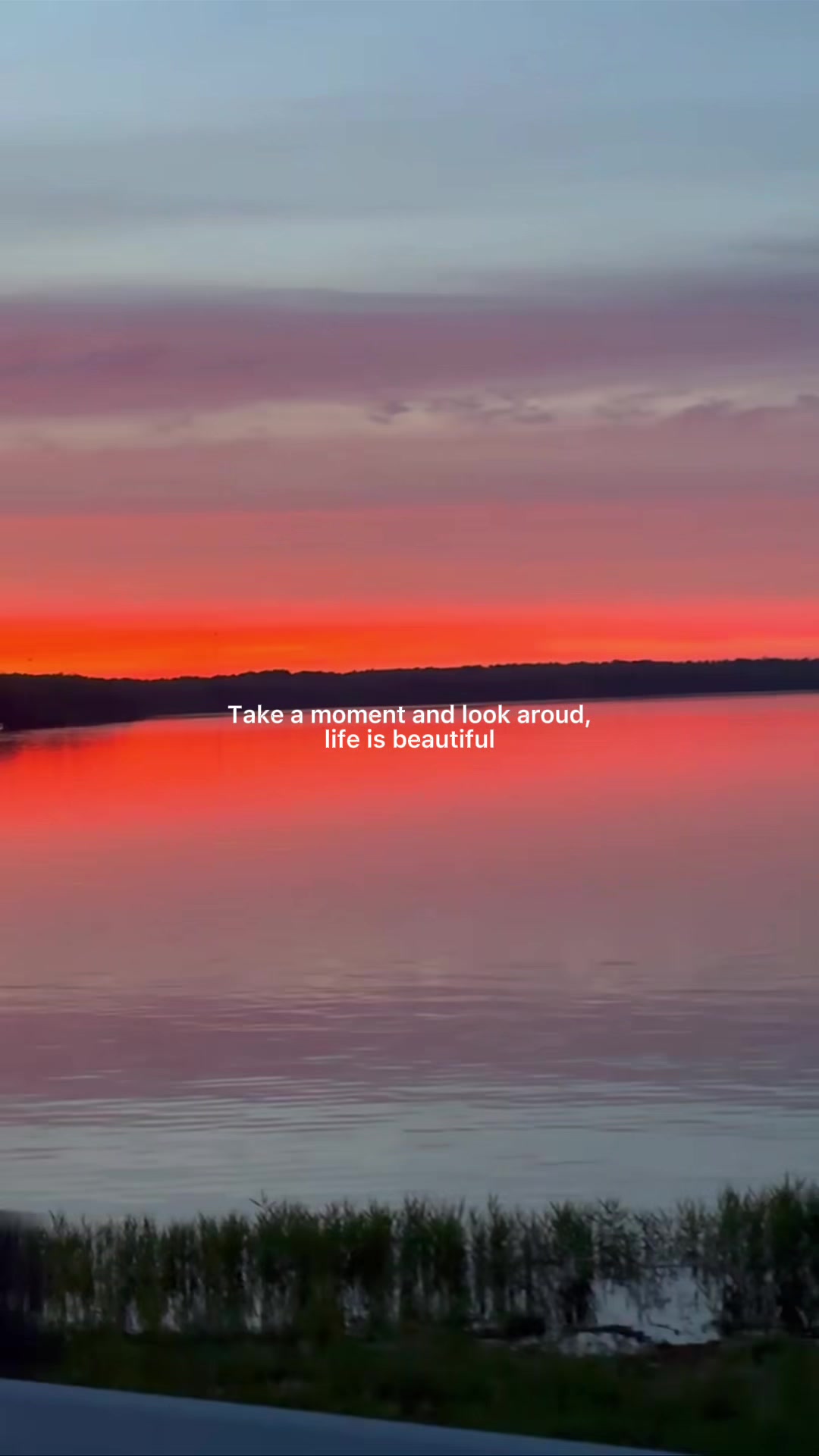 @Animelover89
