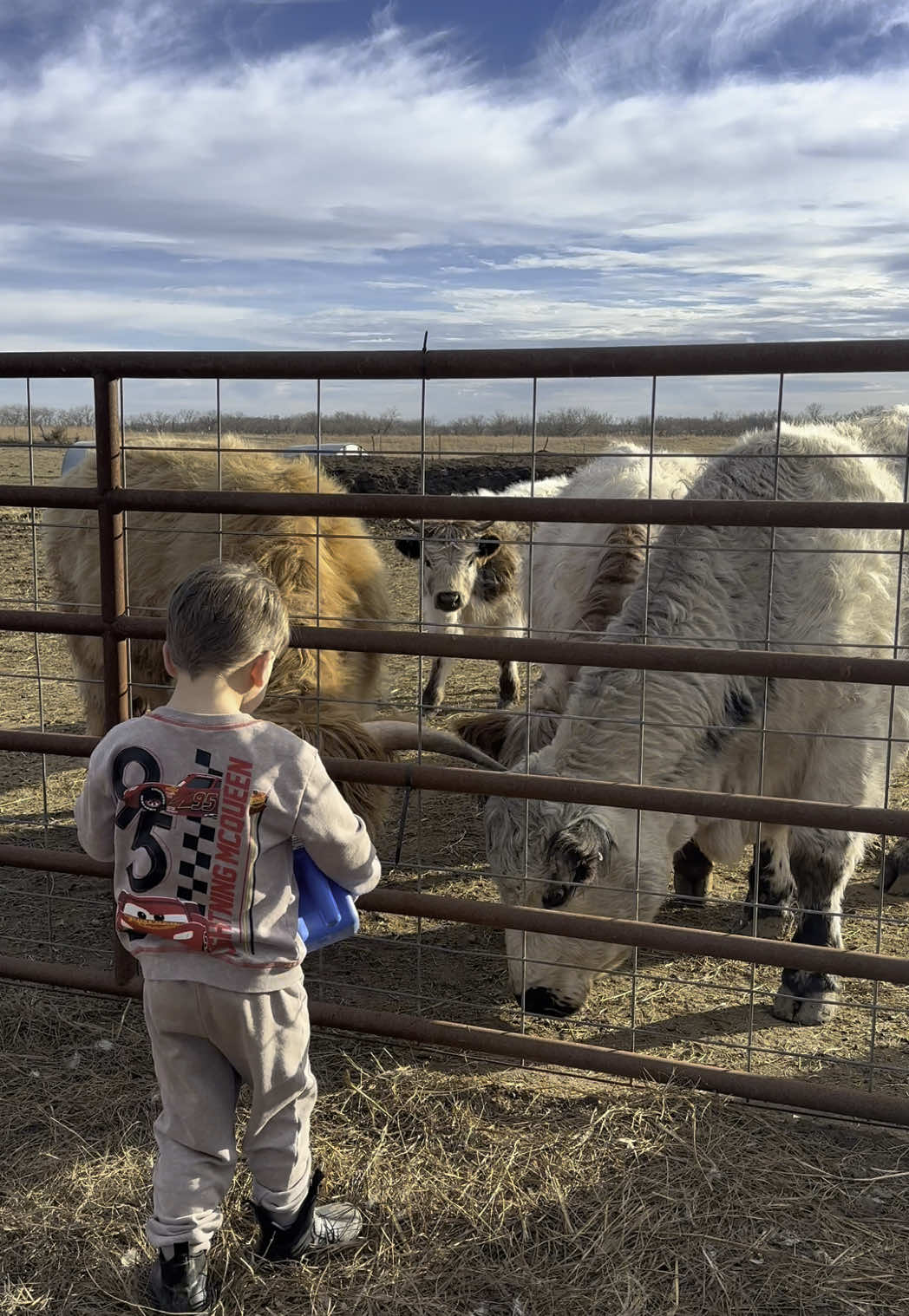 @Tami | FarmD Family Farm