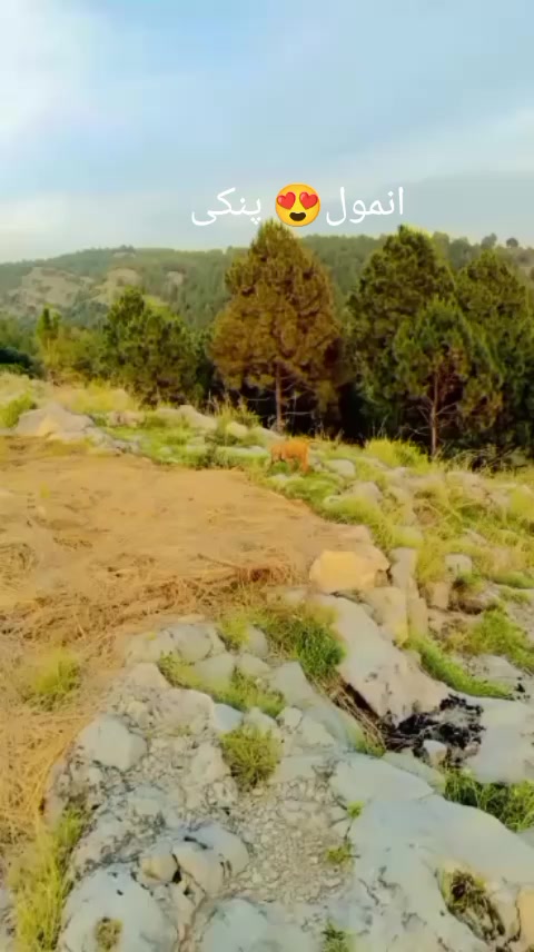 @Ehtisham abbasi