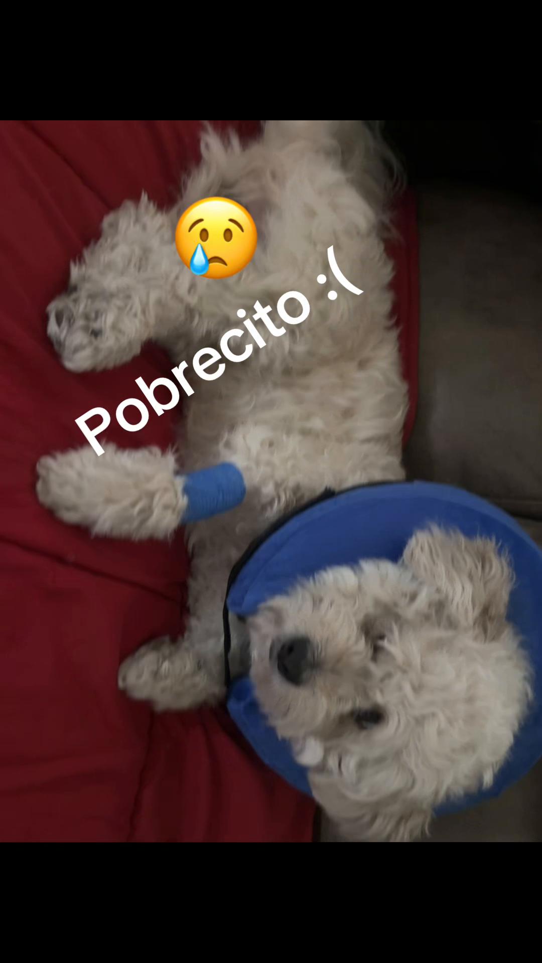 @Mipedacitodecielo801