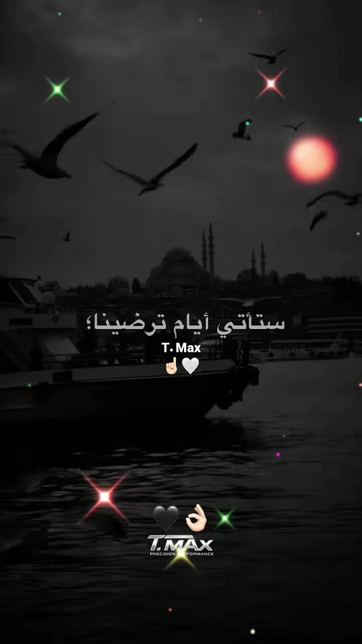 @👑🐎احمد ابو أمير  🐎👑