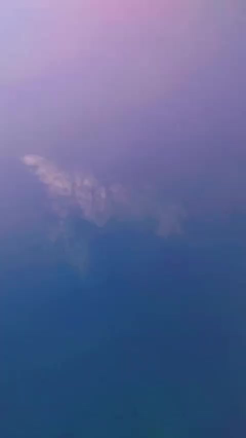@সজিব