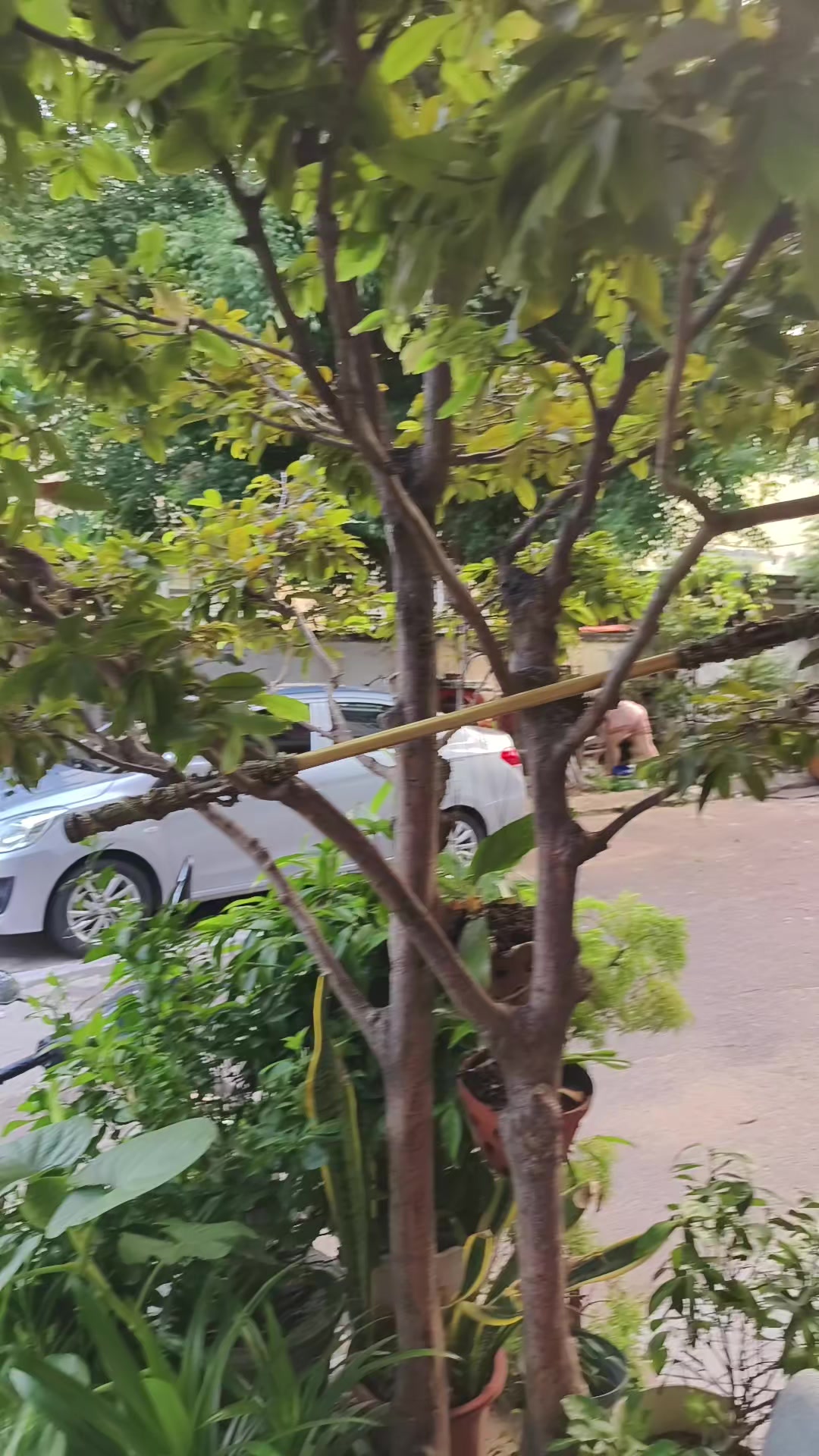 @Quốc Tấn TT