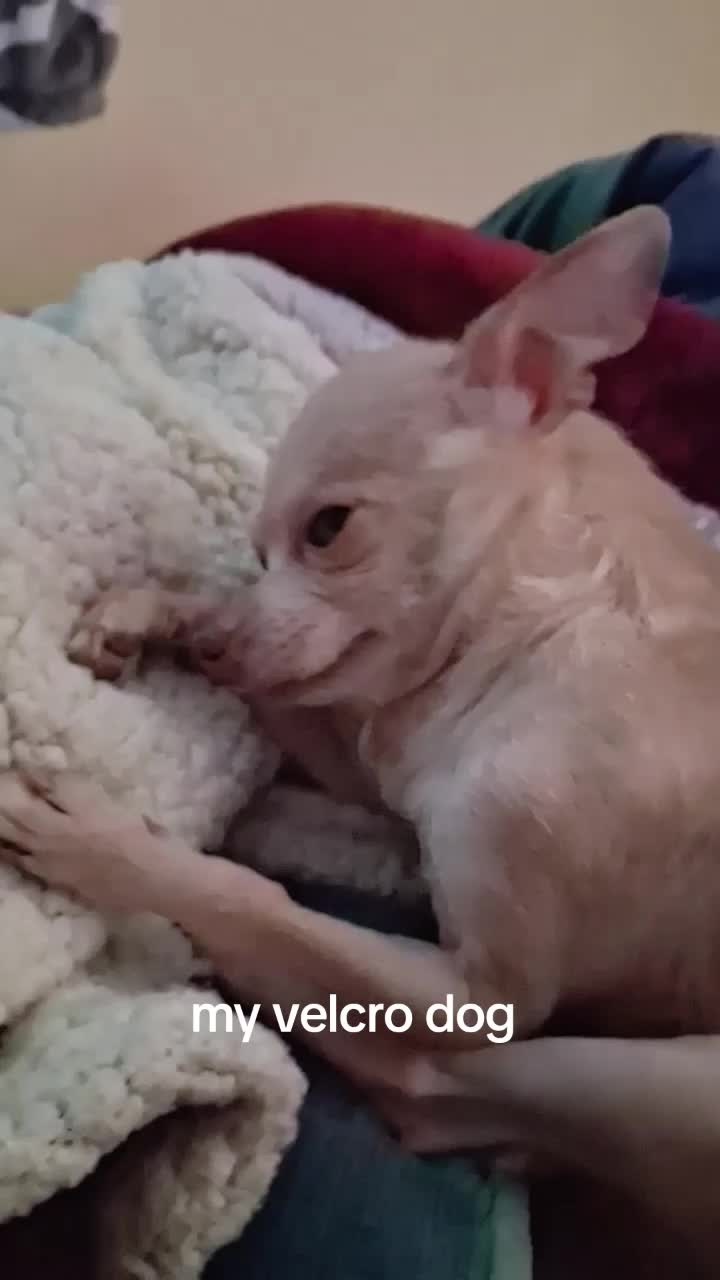 @jamie