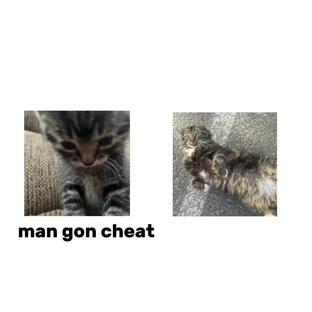 @Charleeeeee🩷🩷