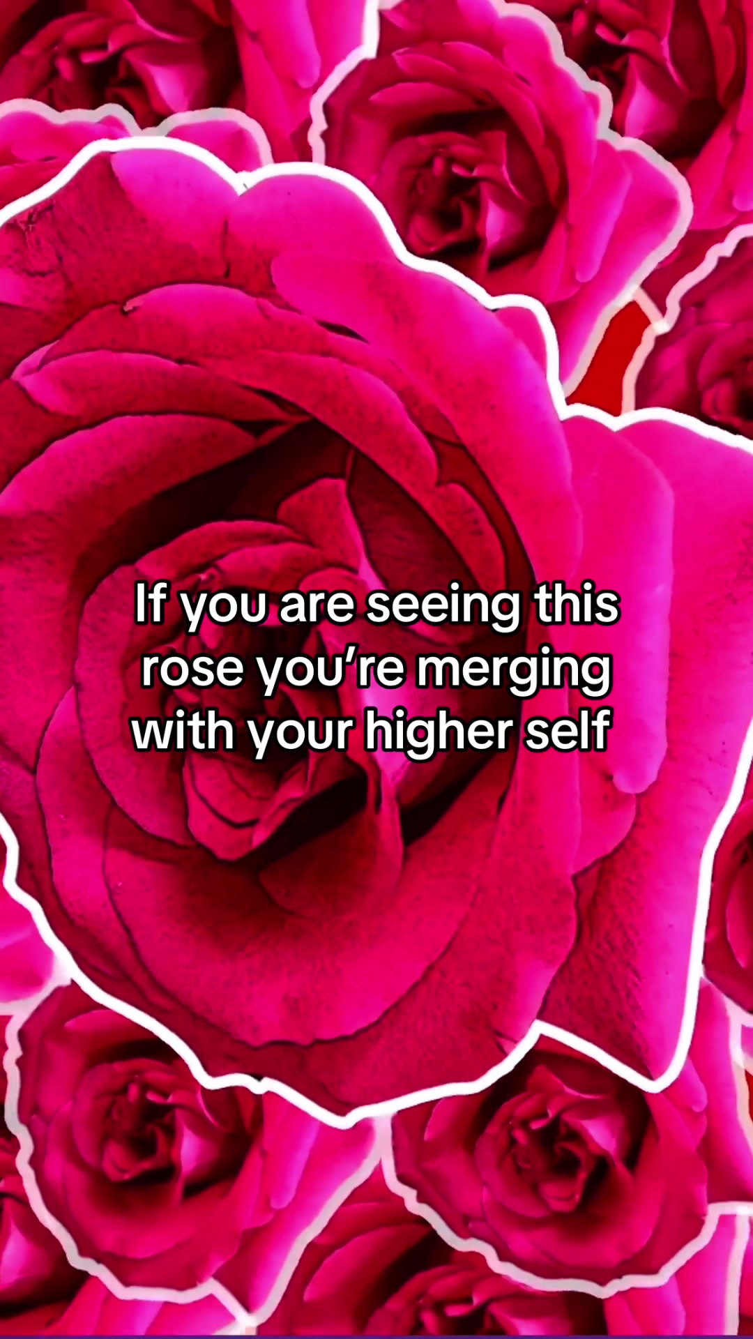 @michellemultidimensional