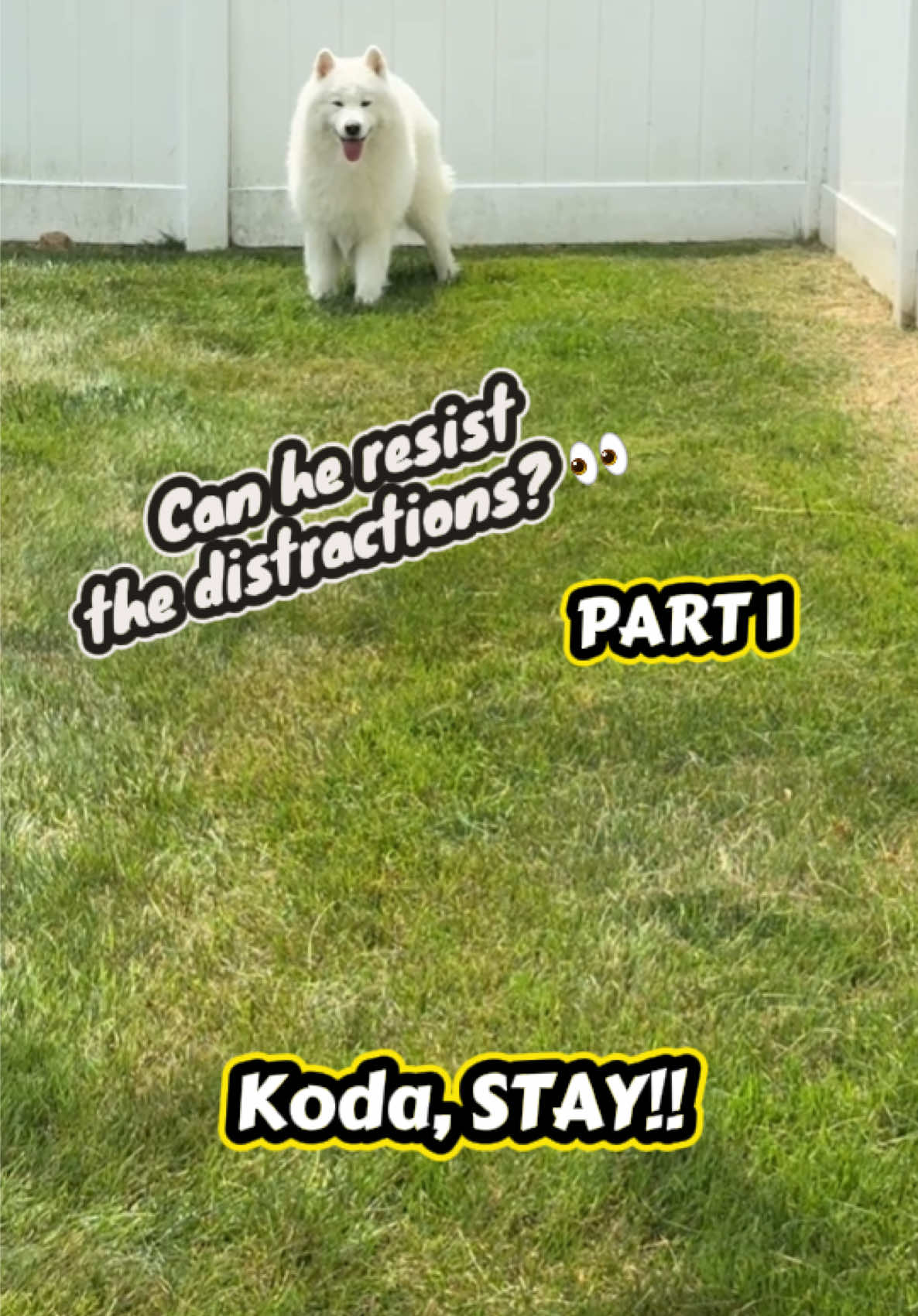 @Koda