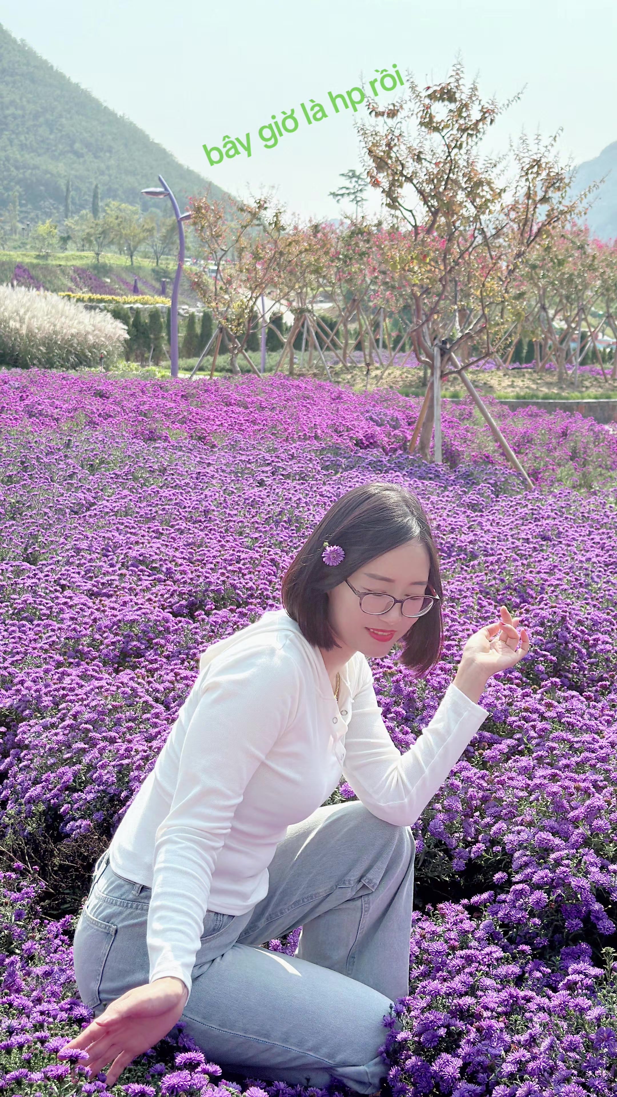@g&aacute;i hải dương