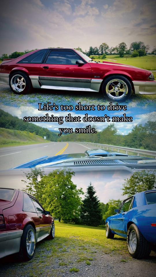 @Clett14