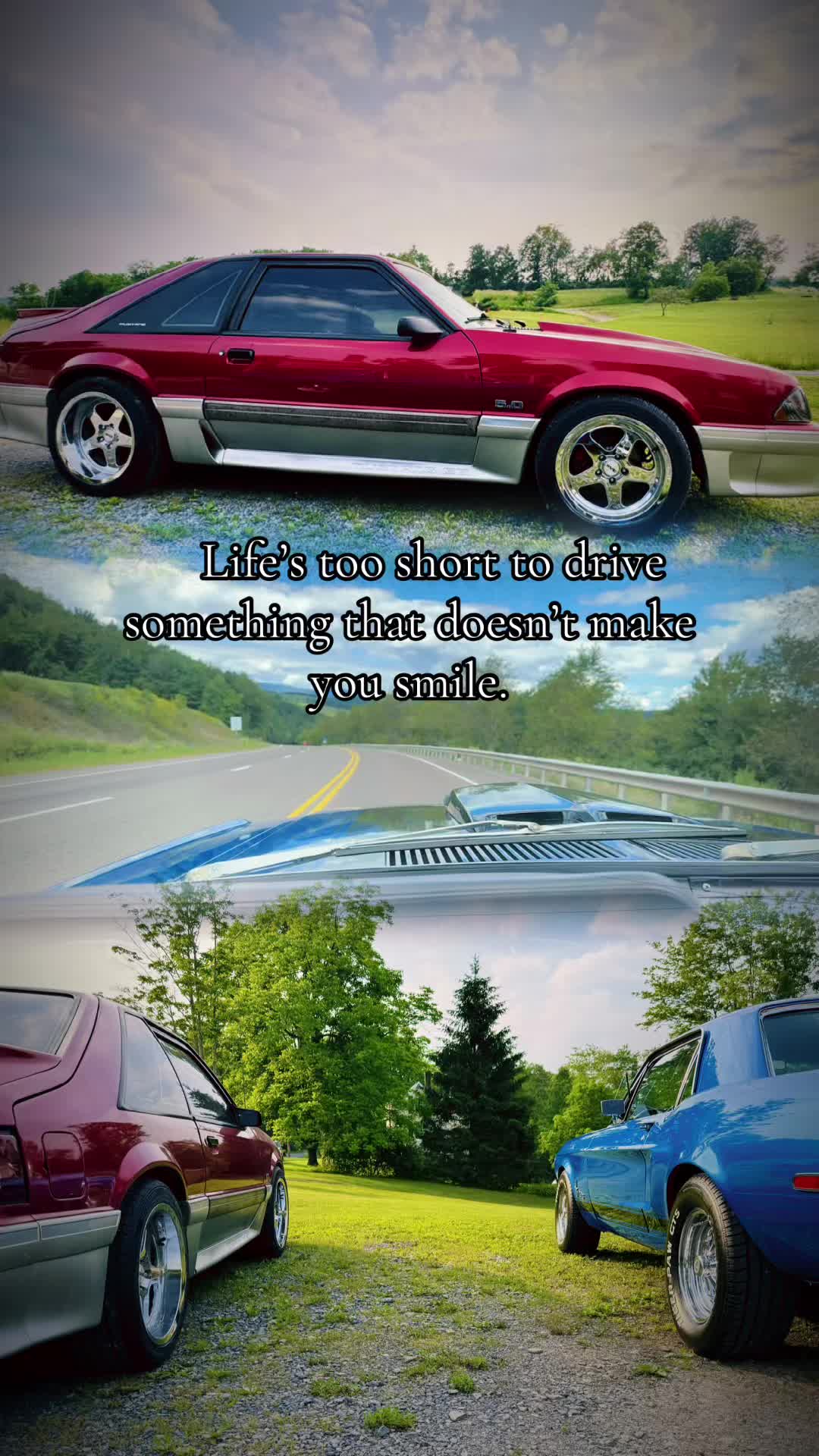 @Clett14