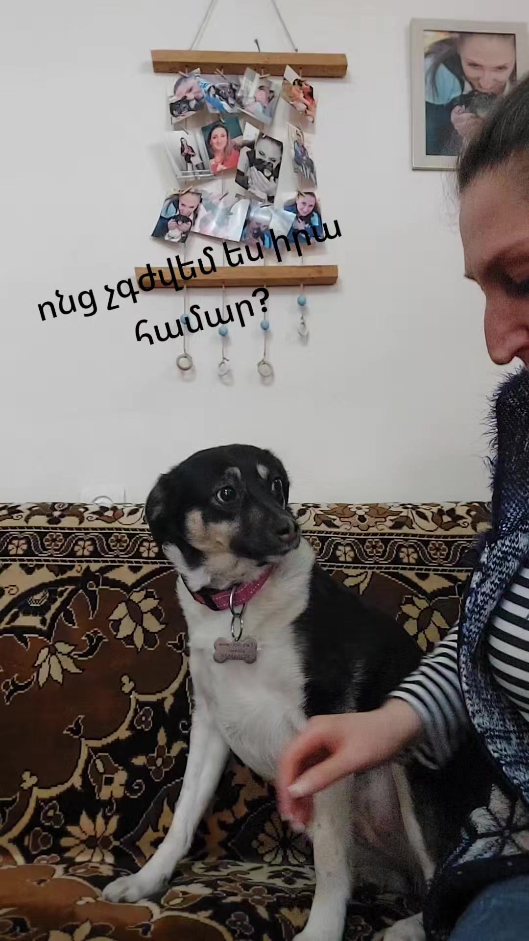 @Анна Азизян