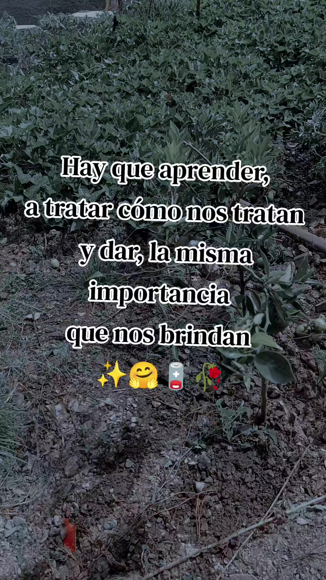 @lopez %