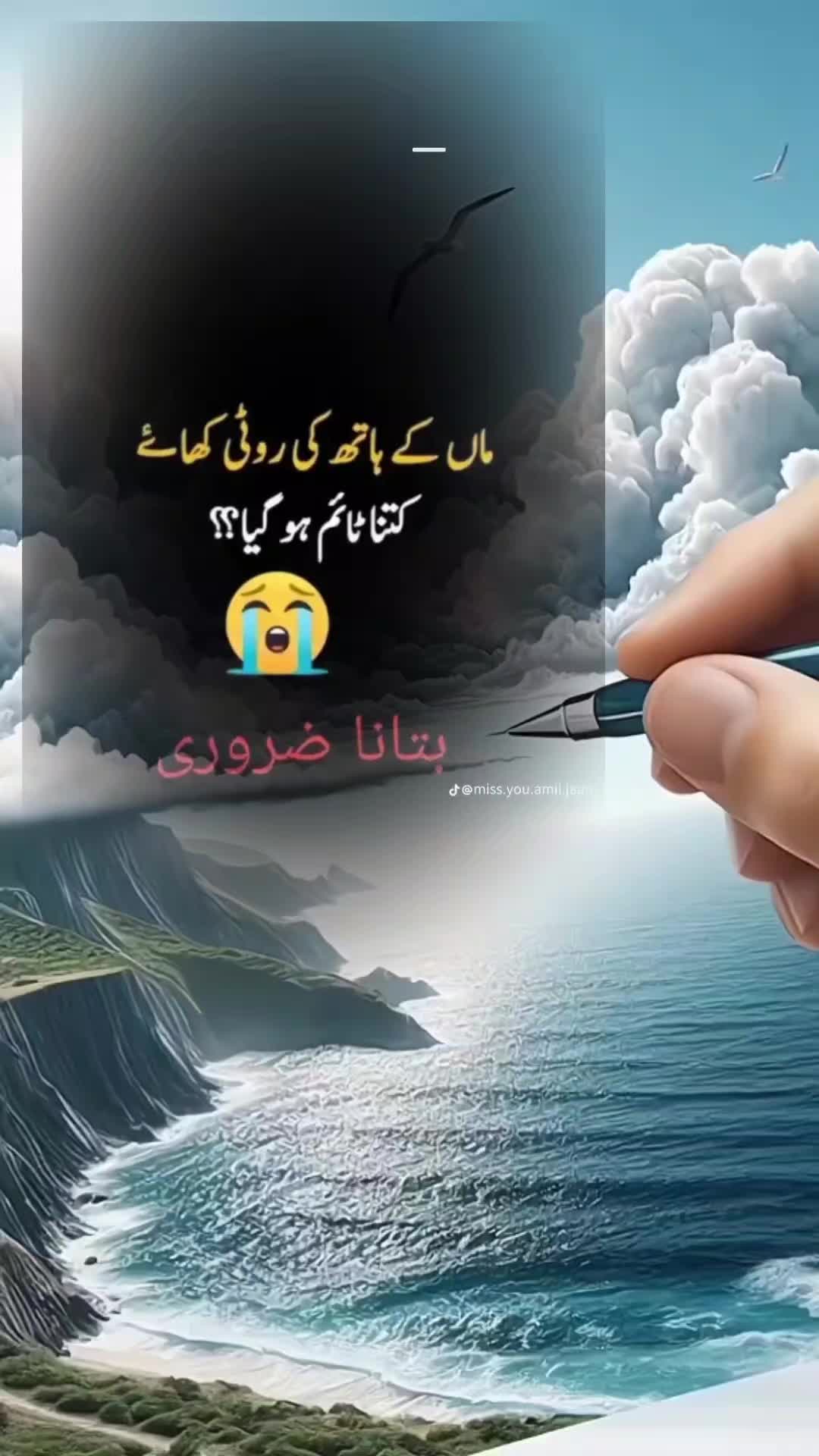 @hayya