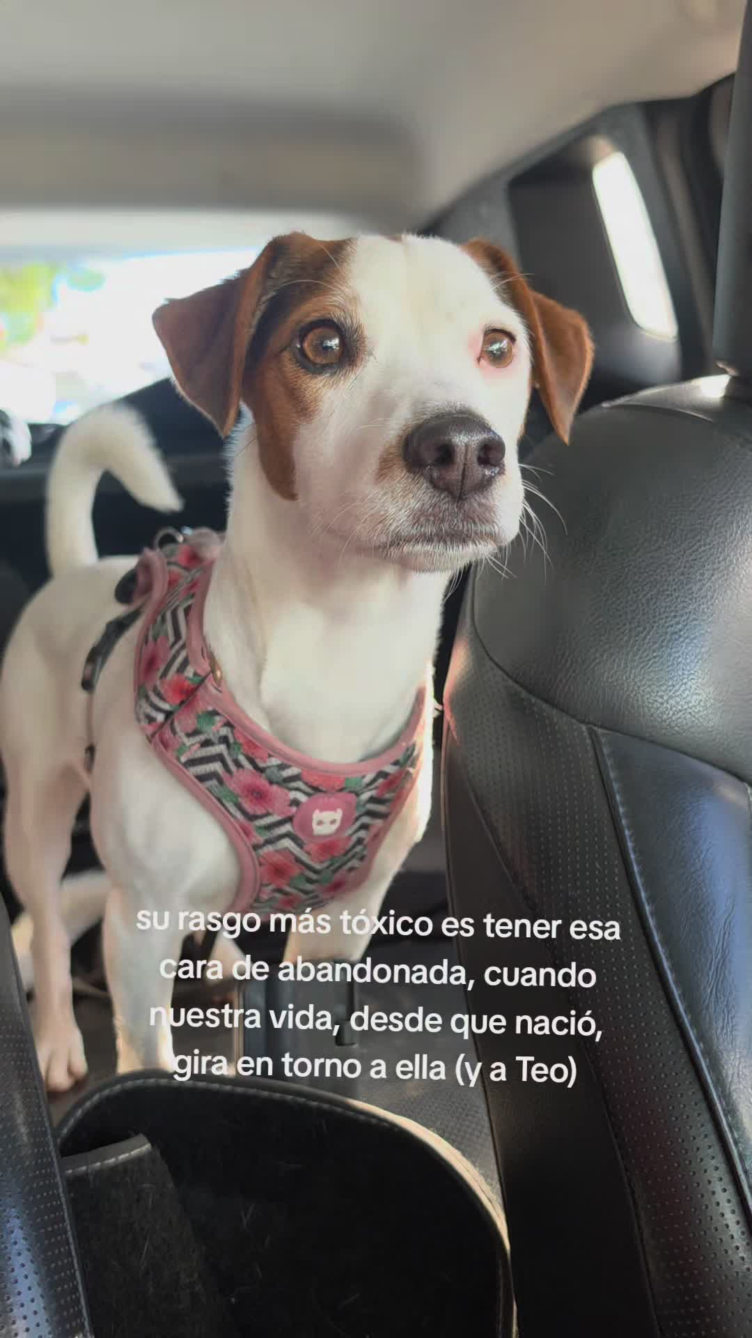 @Somos Teo y Tina