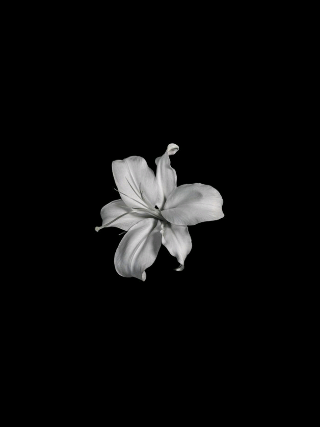 @โ. เญจ ๐๐ฆ๐จ๐๐ก๐ข.๐๐ฎ๐ณ๐ณเญงหโ