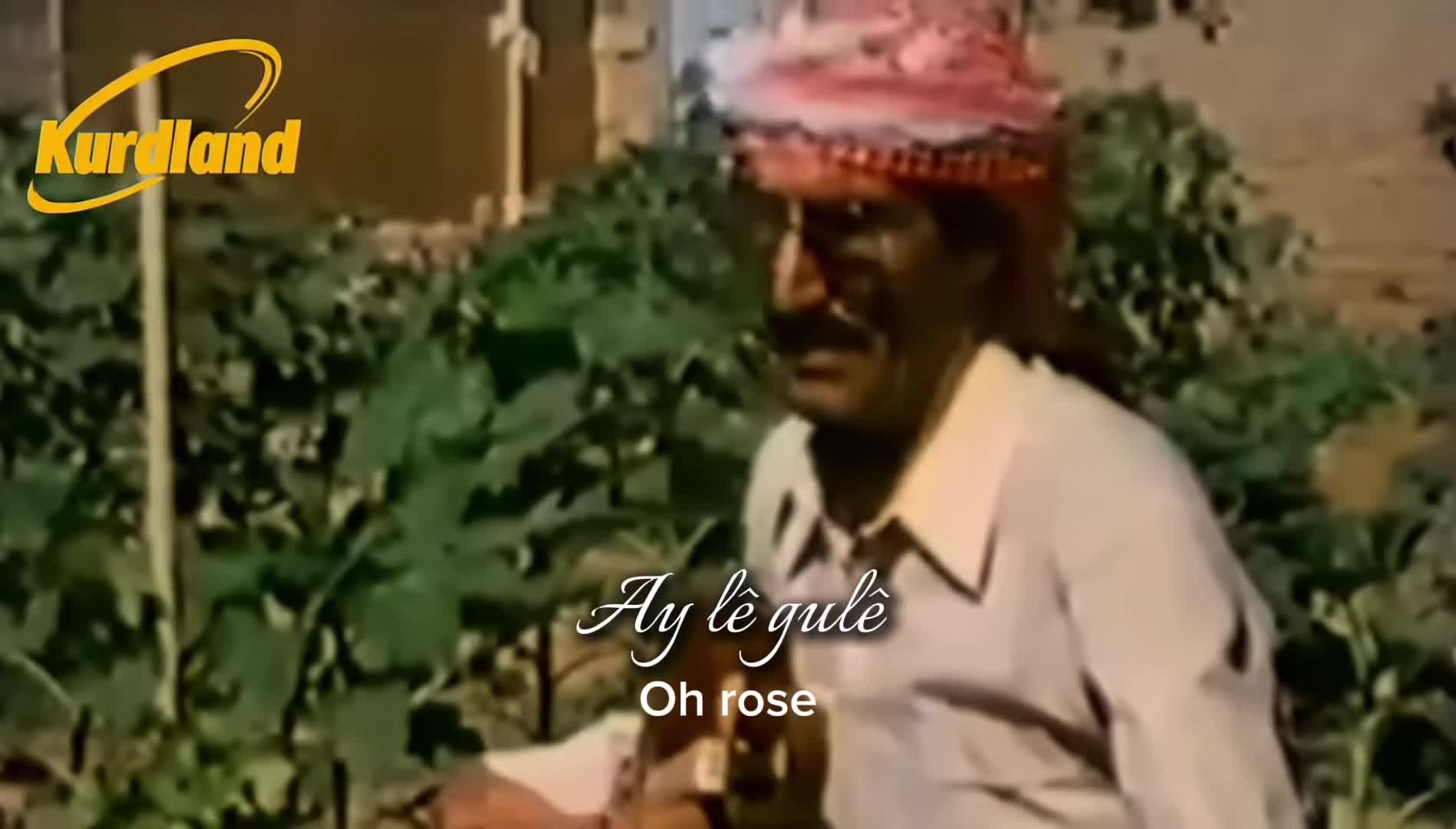 @𝓨𝓐𝓡𝓐