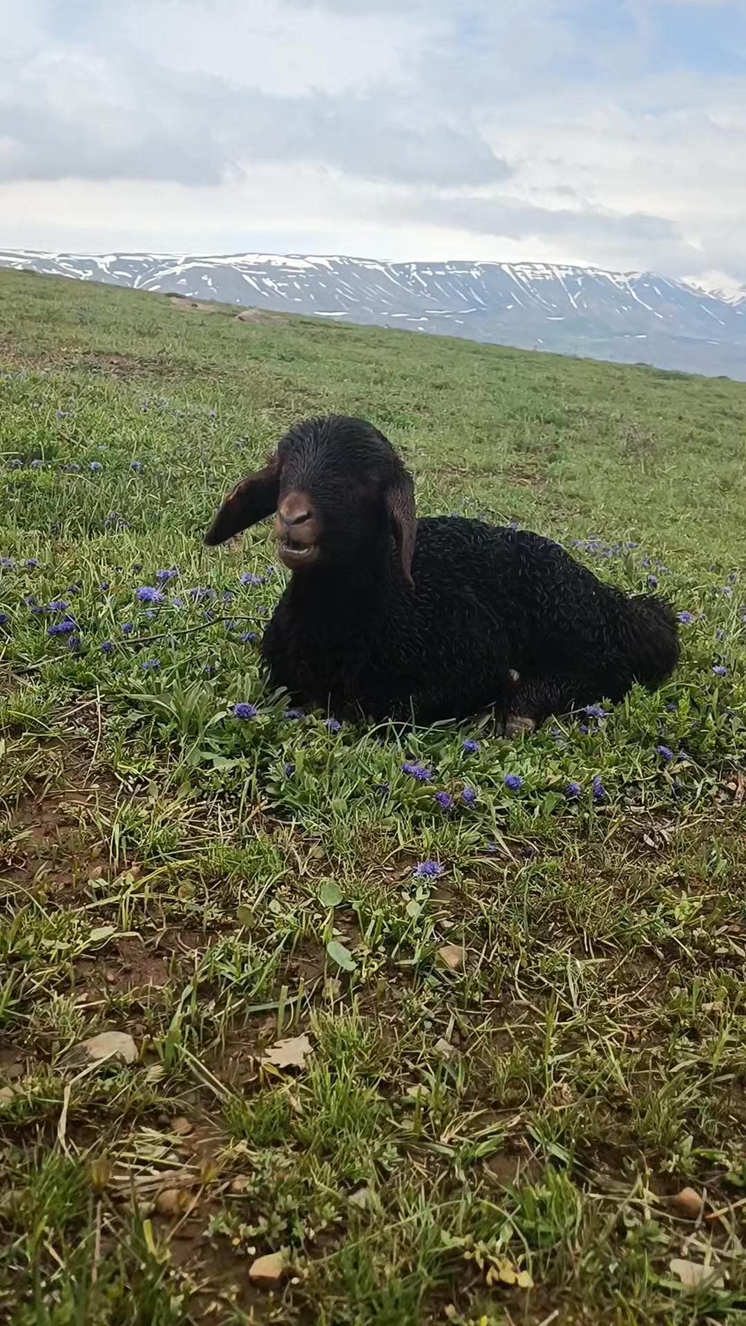 @Habip Baraçkılıç