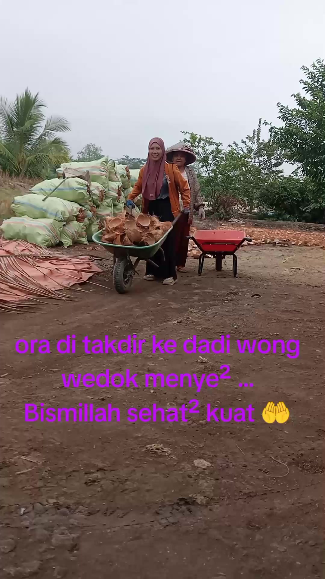 @Dwi