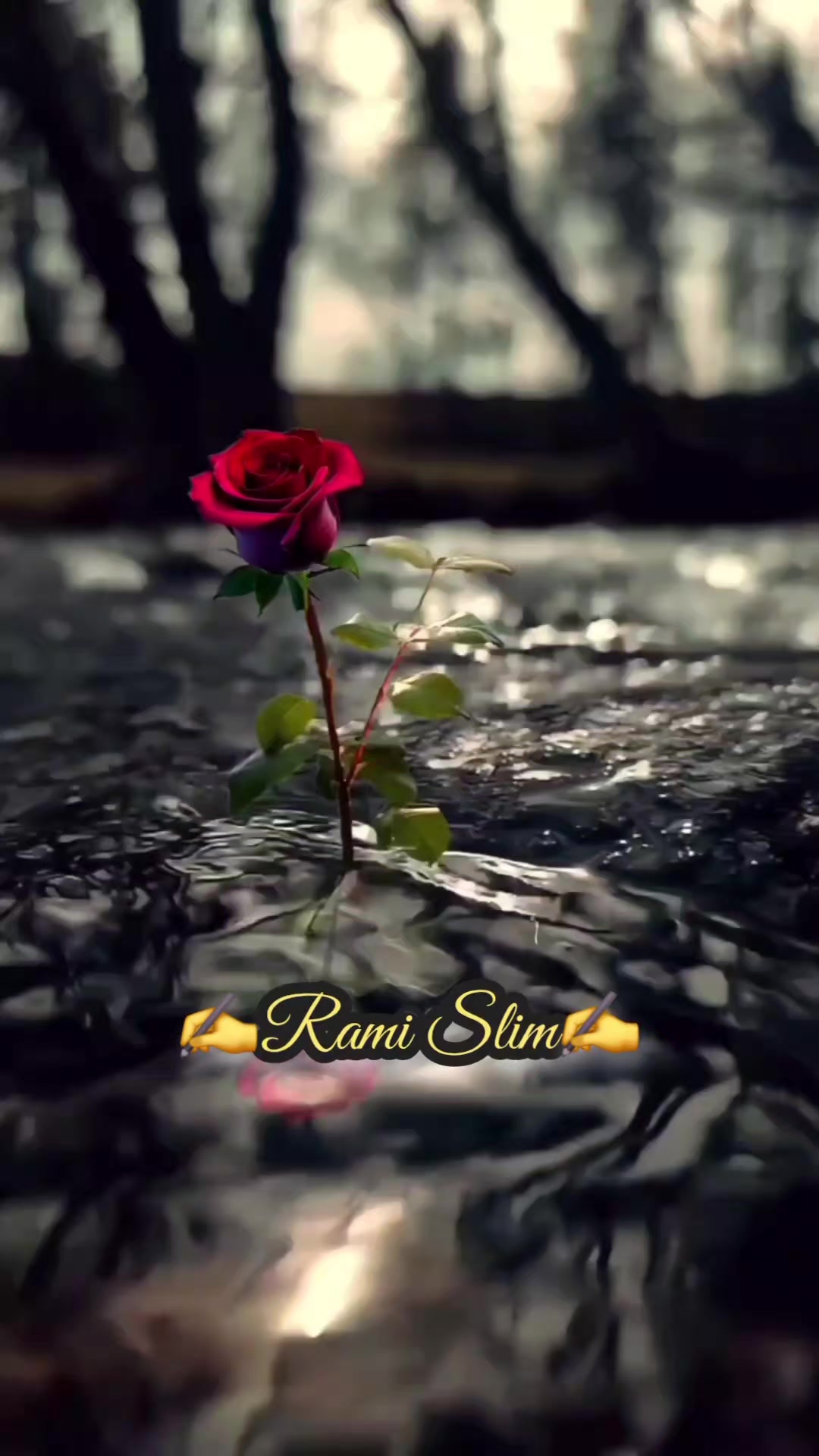 @✍️Rami Slim✍️